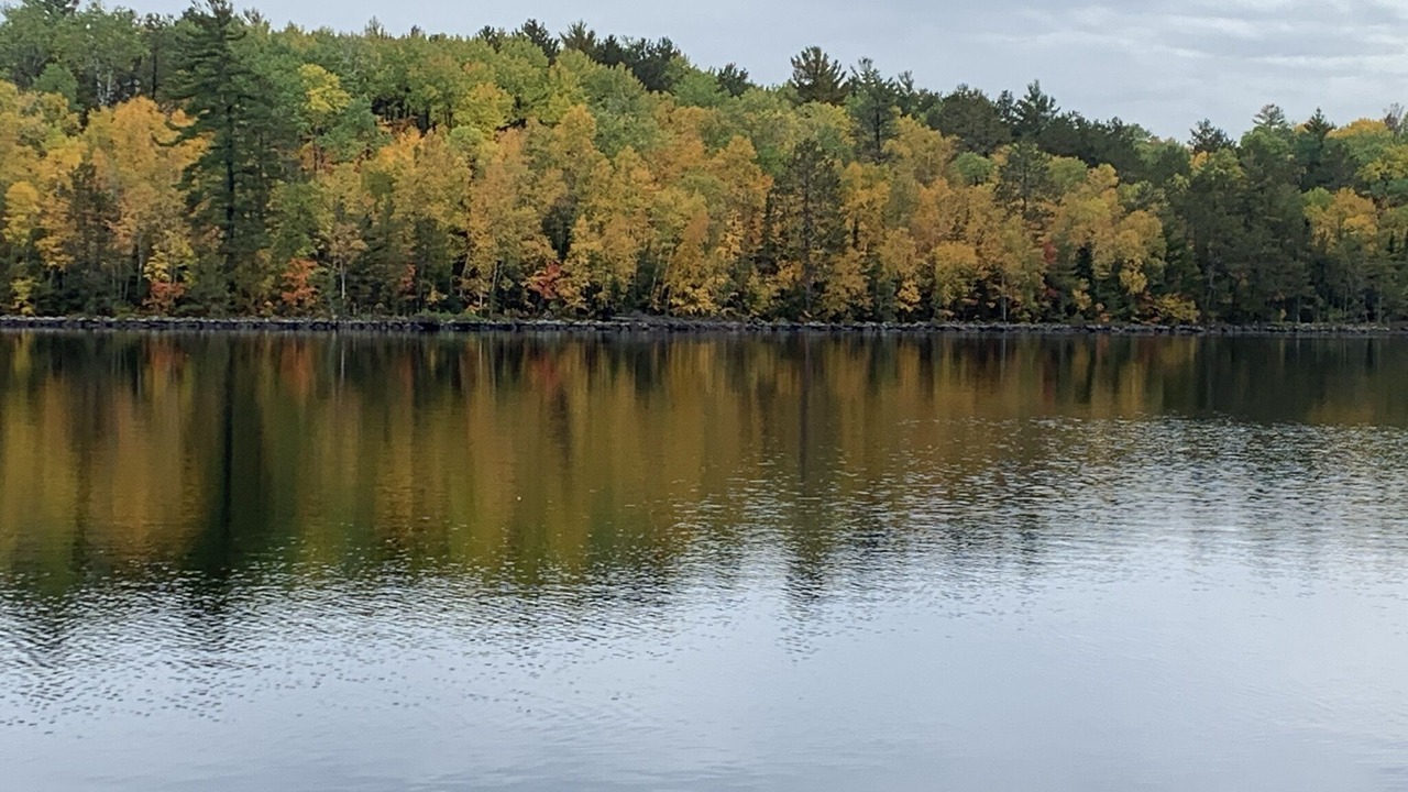 Photo of Outdoor in Orr