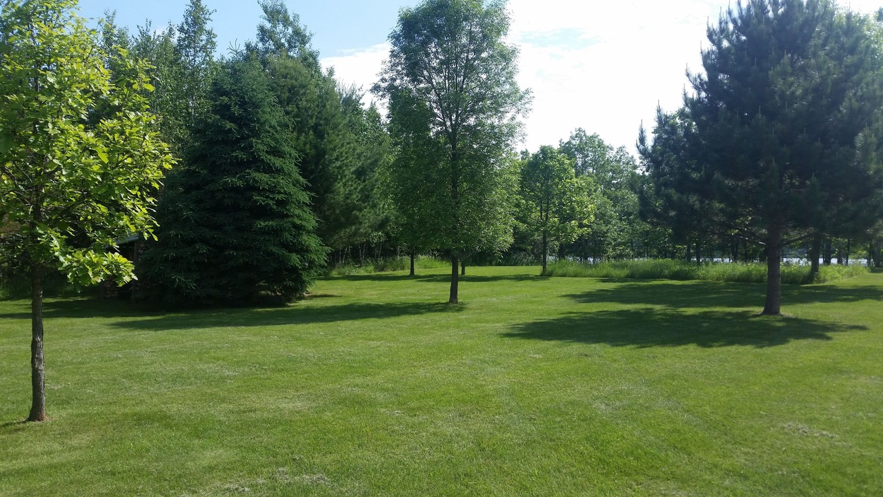 Photo of Outdoor in Longville