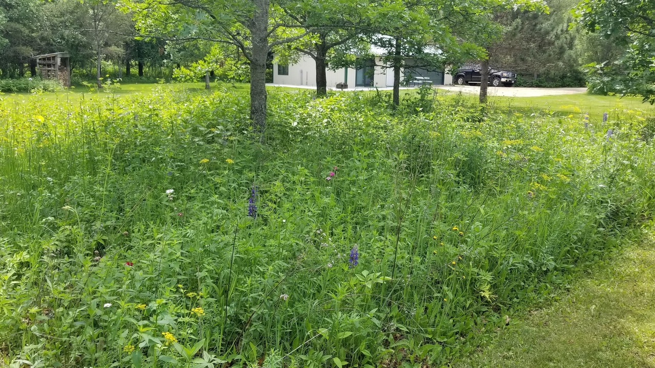 Photo of Outdoor in Longville