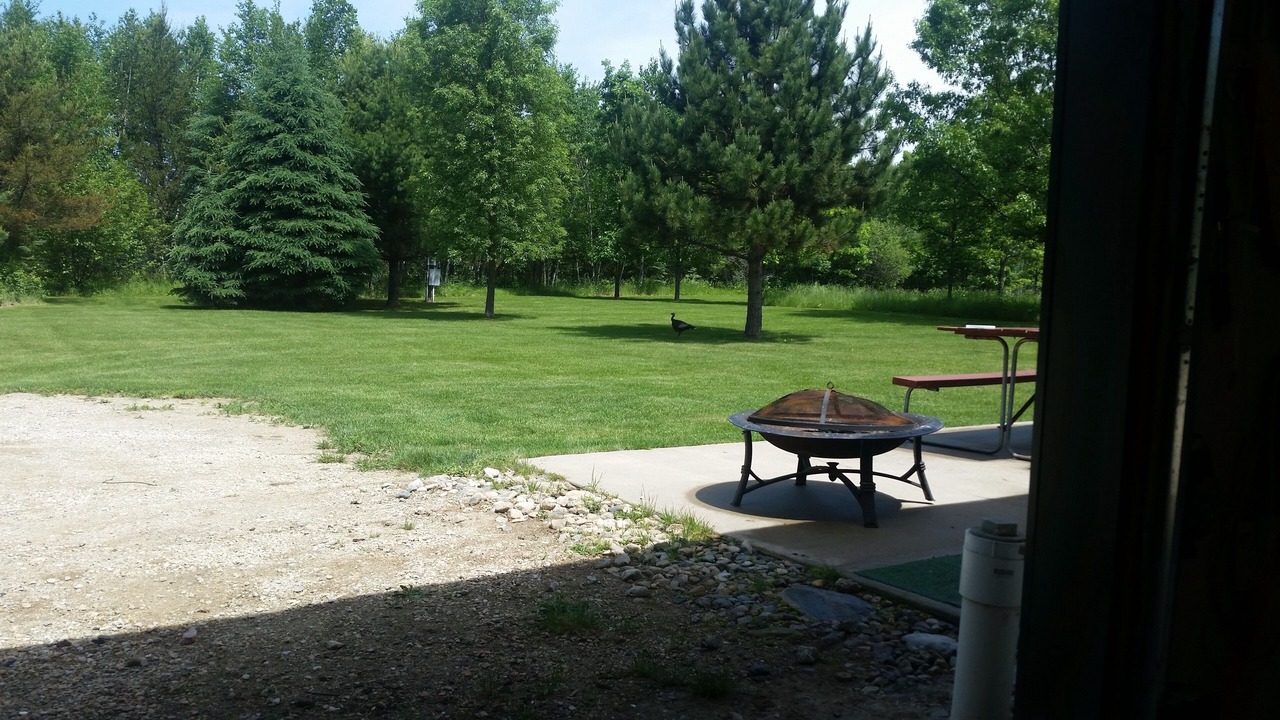 Photo of Outdoor in Longville