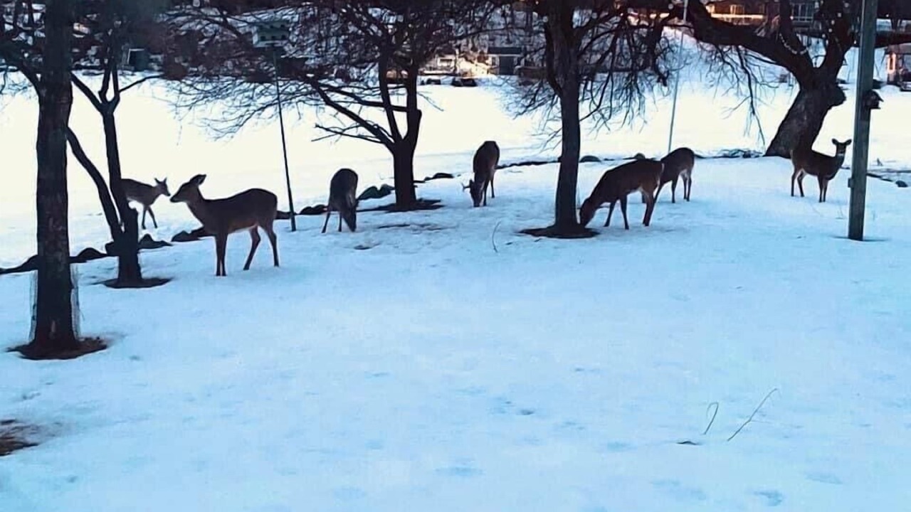 Photo of Others in Lindstrom