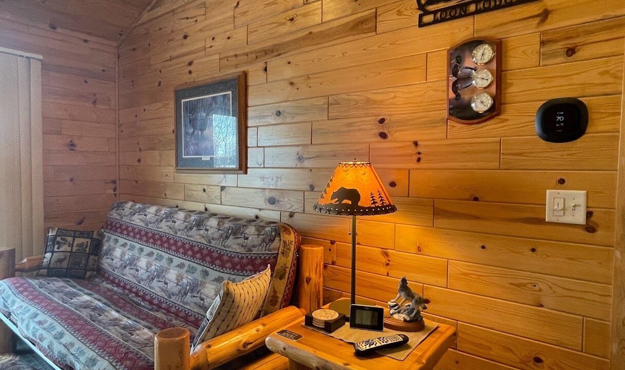 Photo of Livingroom in Orr