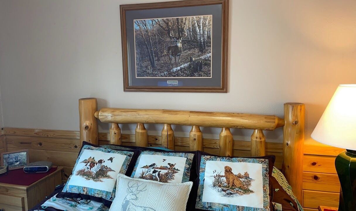 Photo of Bedroom in Orr