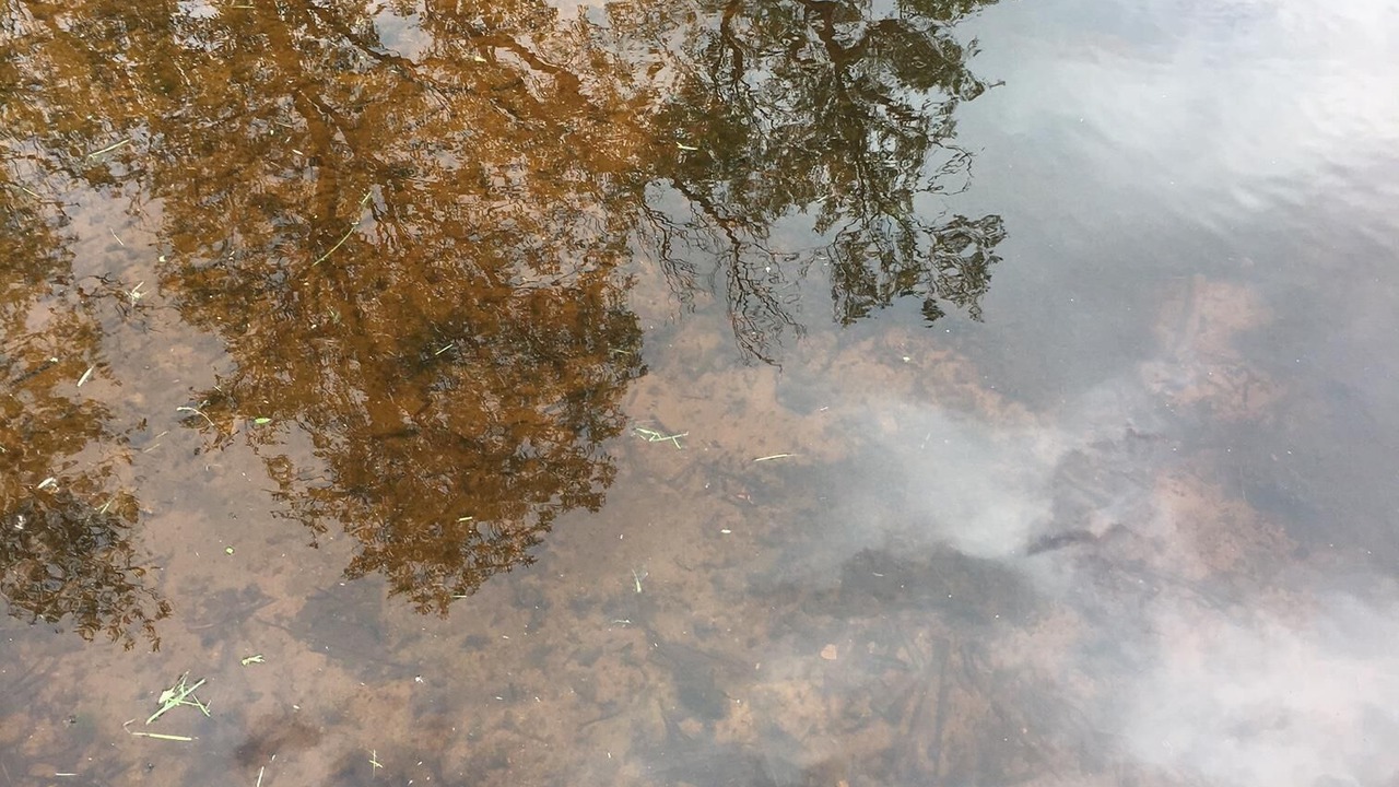 Photo of Outdoor in Aitkin