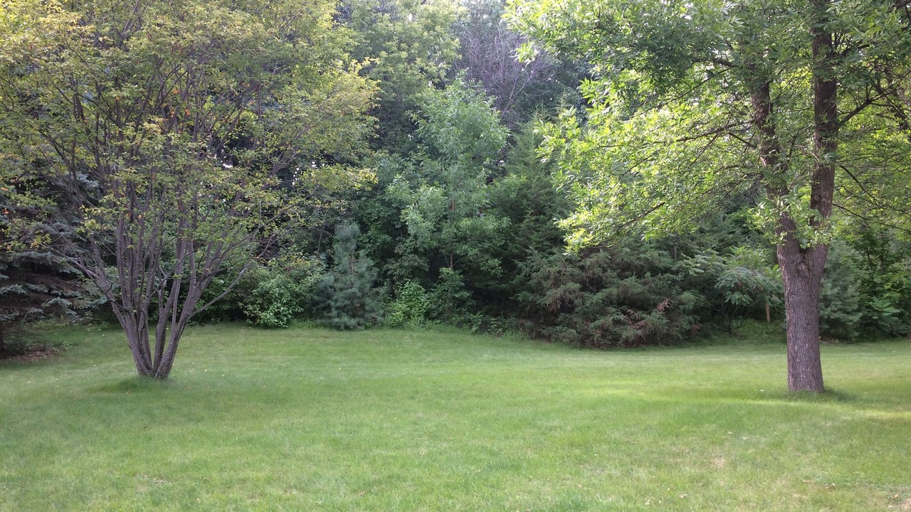 Photo of Others in Chanhassen