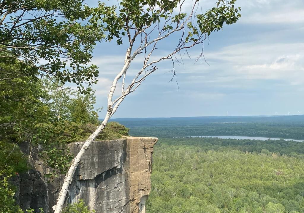 Photo of Others in Manitoulin District
