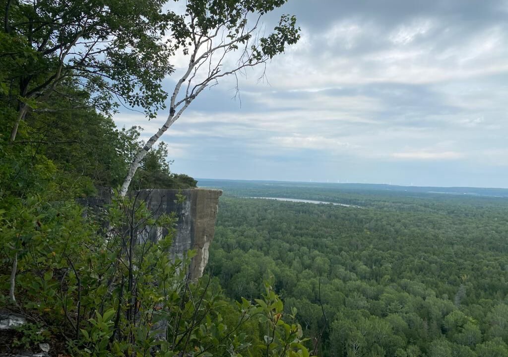 Photo of Others in Manitoulin District