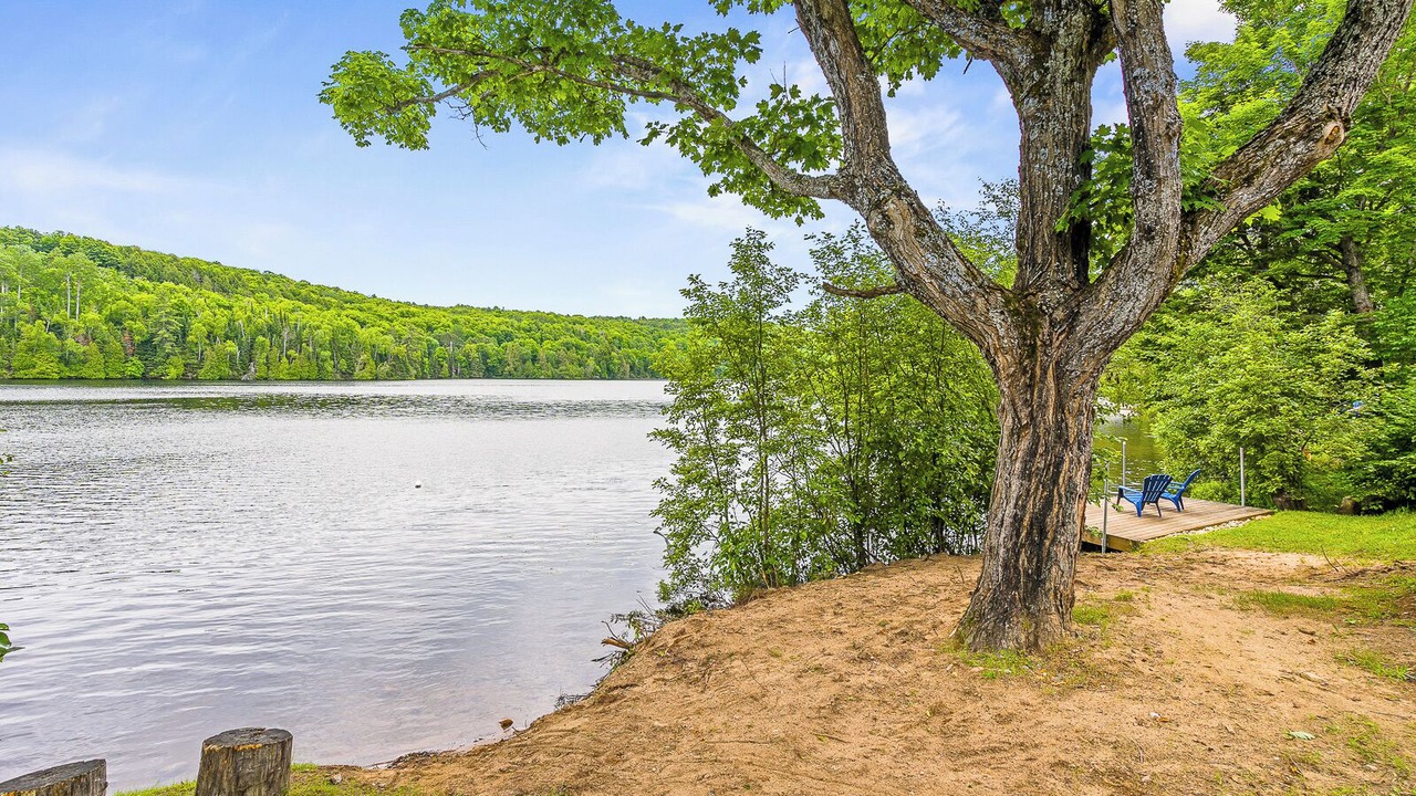Photo of Outdoor in Harcourt