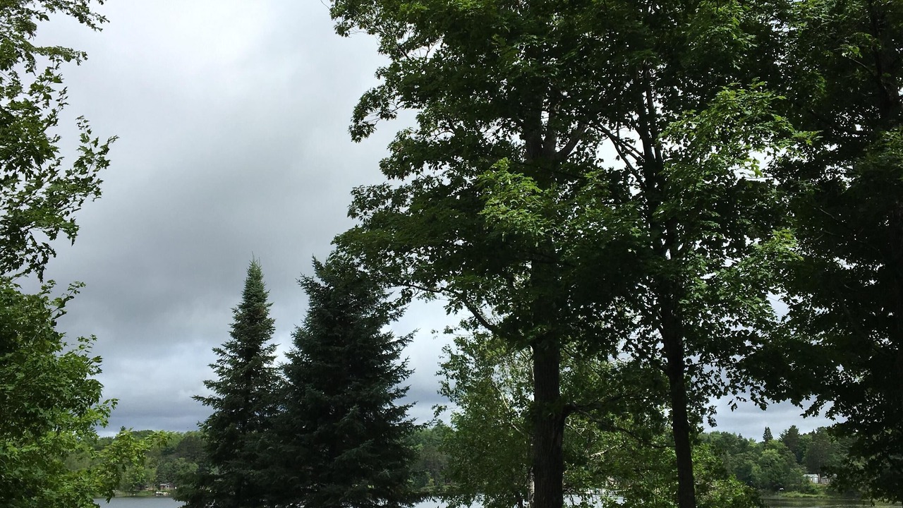 Photo of Outdoor in Longville