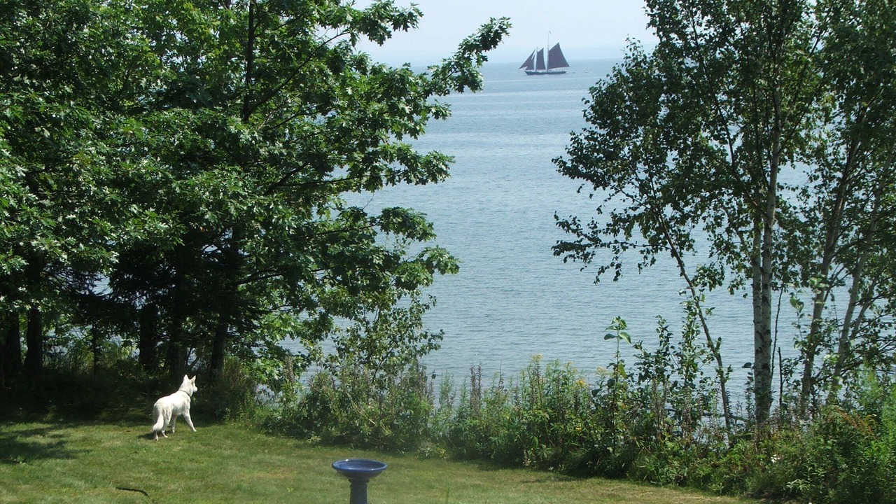 Photo of Others in La Pointe