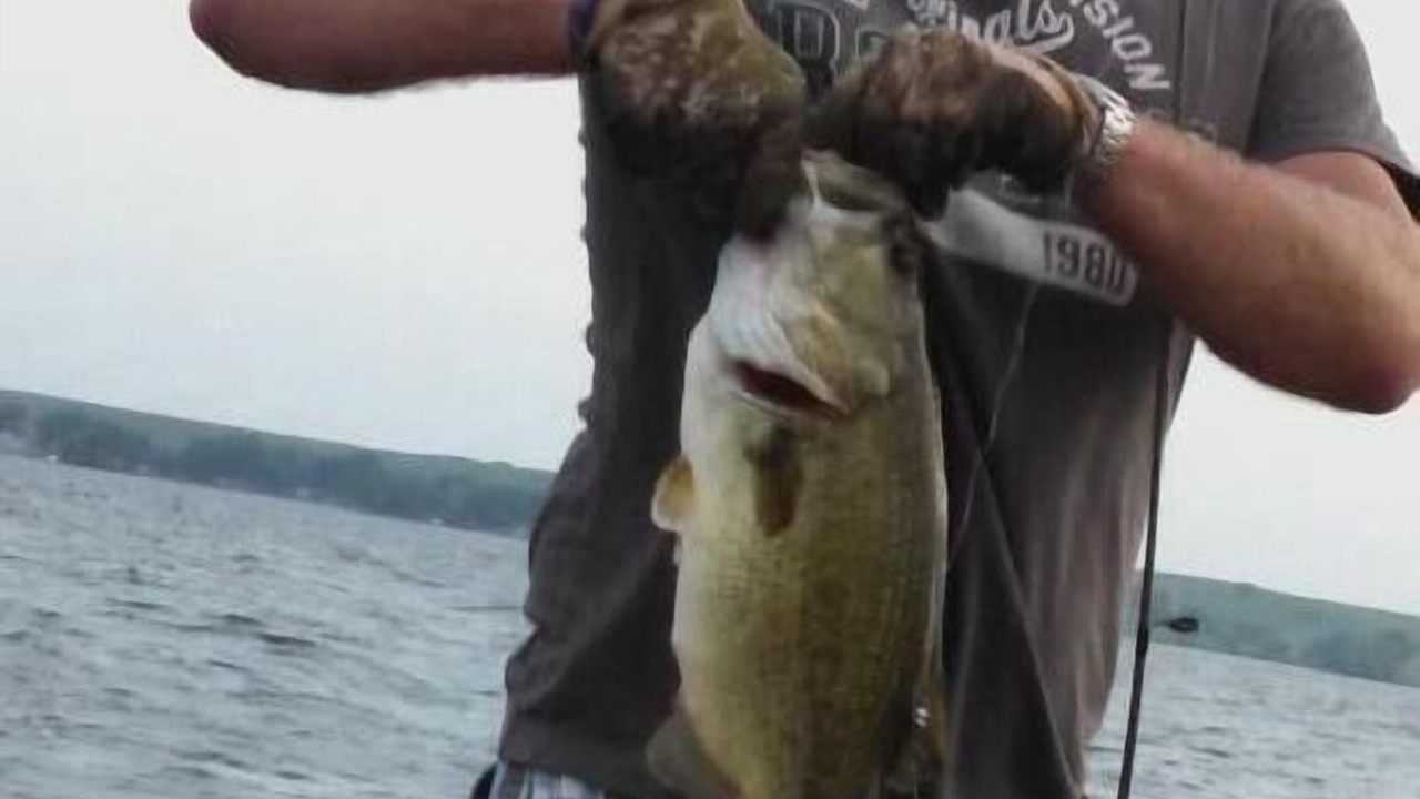 Photo of Others in Ortonville
