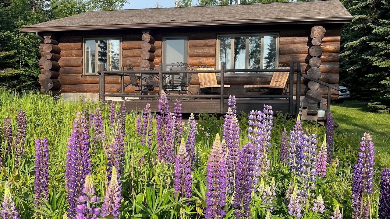Photo of Outdoor in Silver Bay