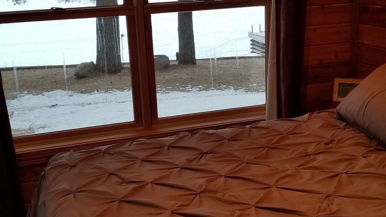 Photo of Bedroom in Ray