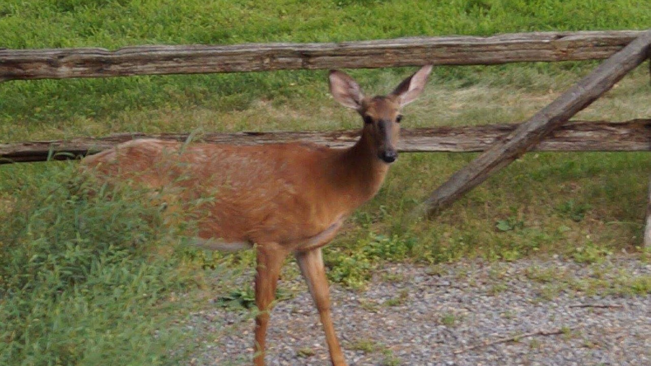 Photo of Outdoor in Frontenac