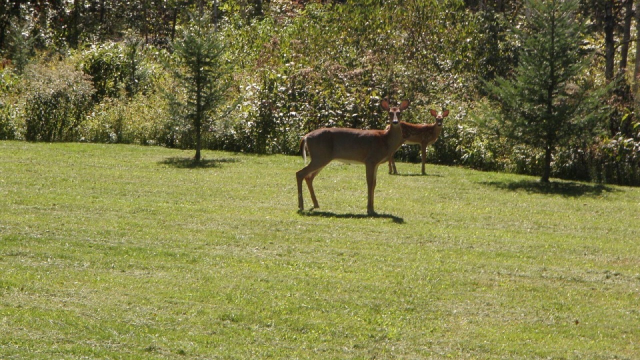 Photo of Outdoor in Frontenac