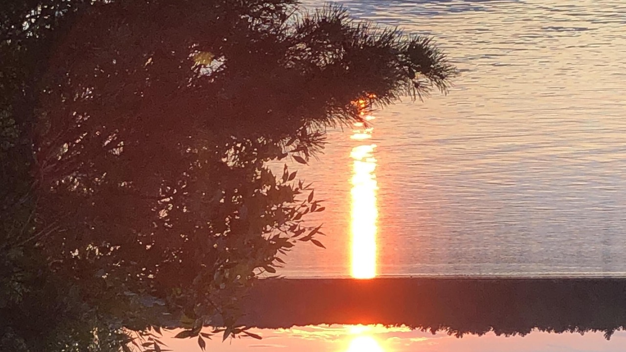 Photo of Others in North Kawartha