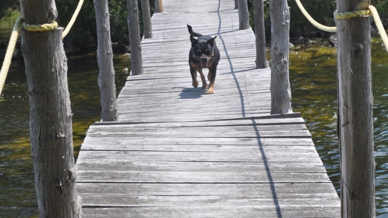 Photo of Others in North Kawartha