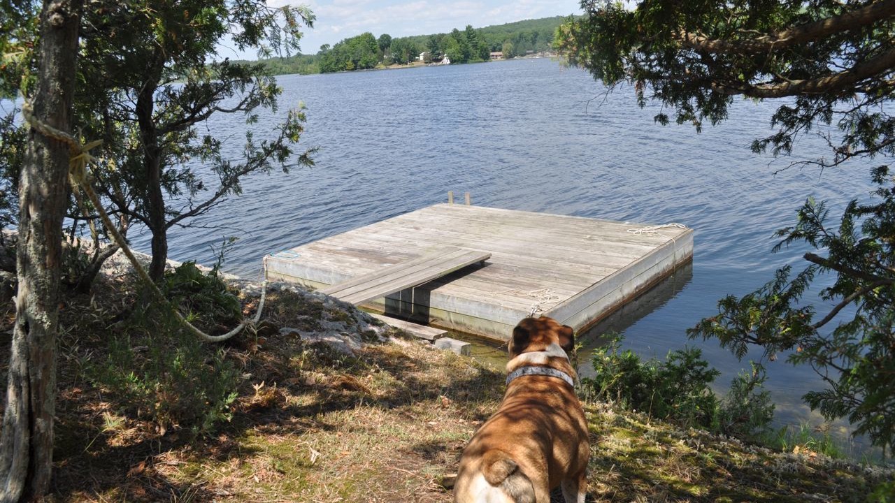 Photo of Outdoor in North Kawartha