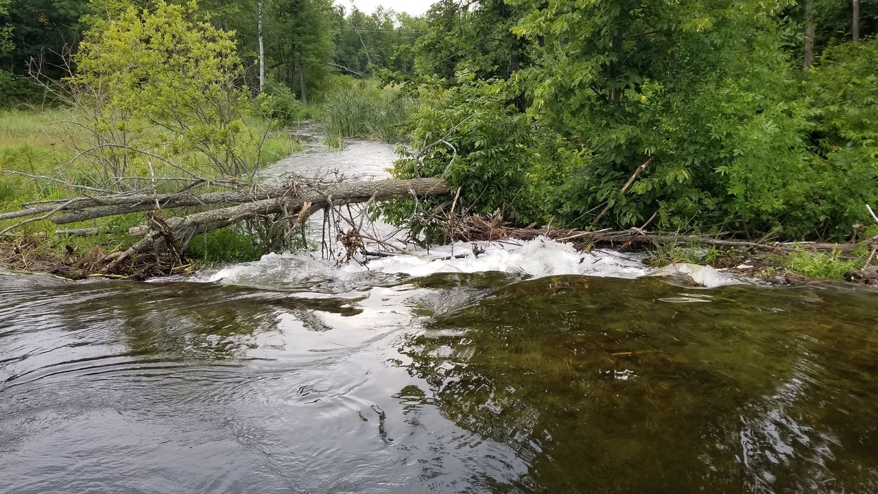 Photo of Outdoor in Remer