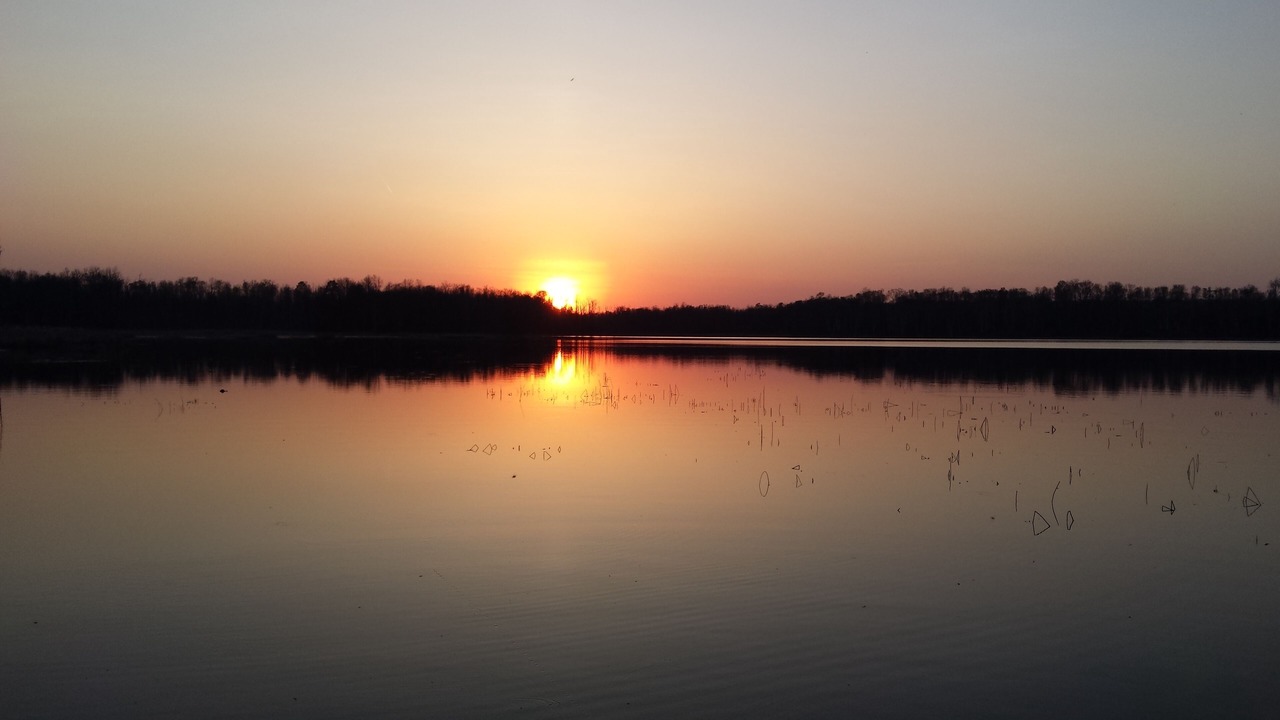 Photo of Outdoor in Remer