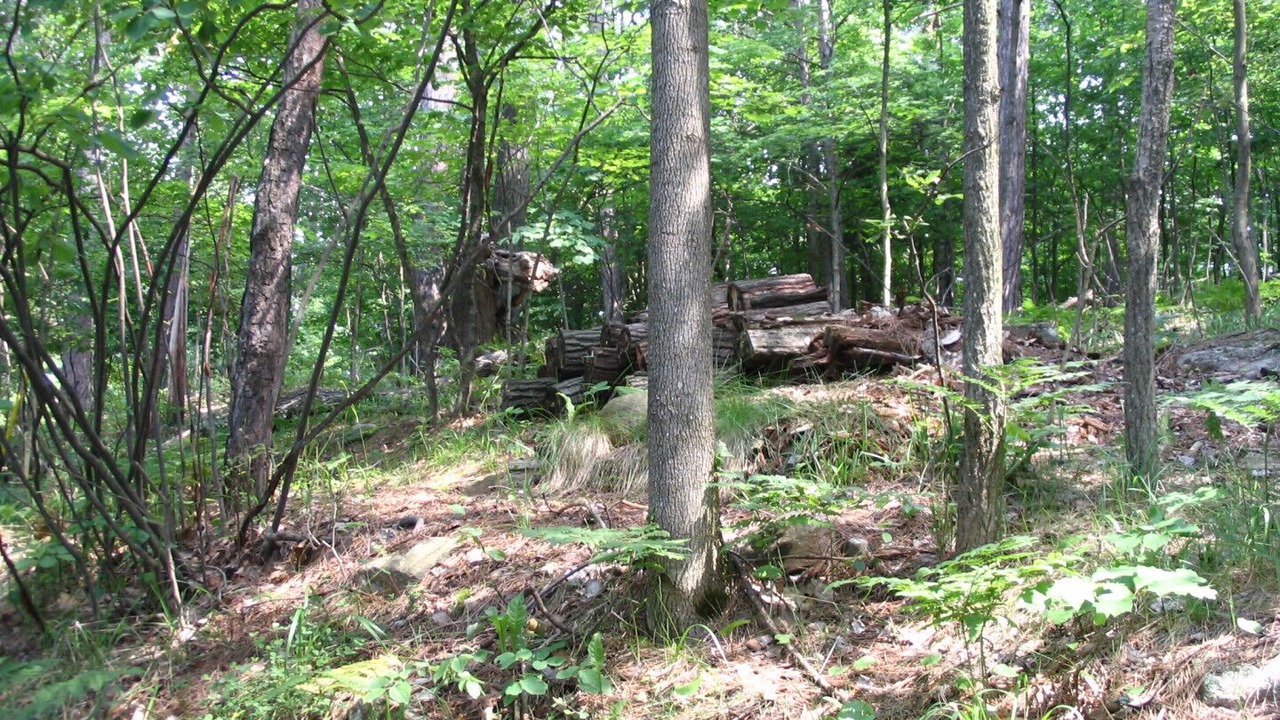 Photo of Others in Lake of Bays