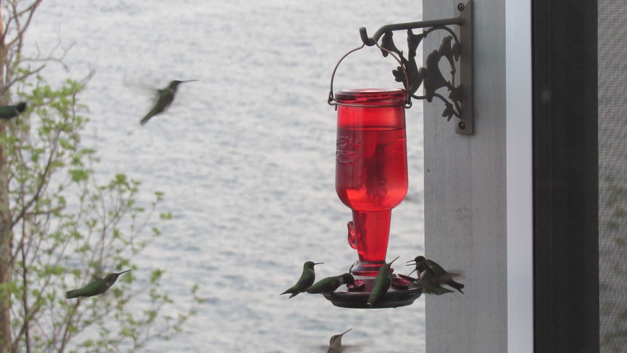 Photo of Others in Two Harbors