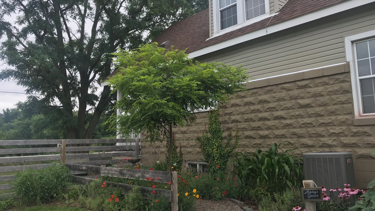 Photo of Outdoor in McGregor