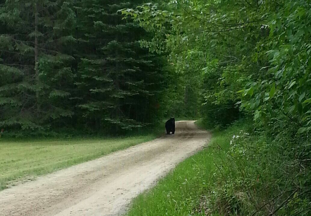 Photo of Others in Remer