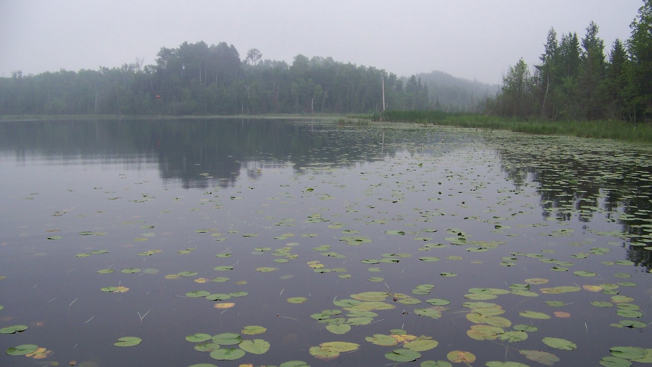 Photo of Outdoor in Remer