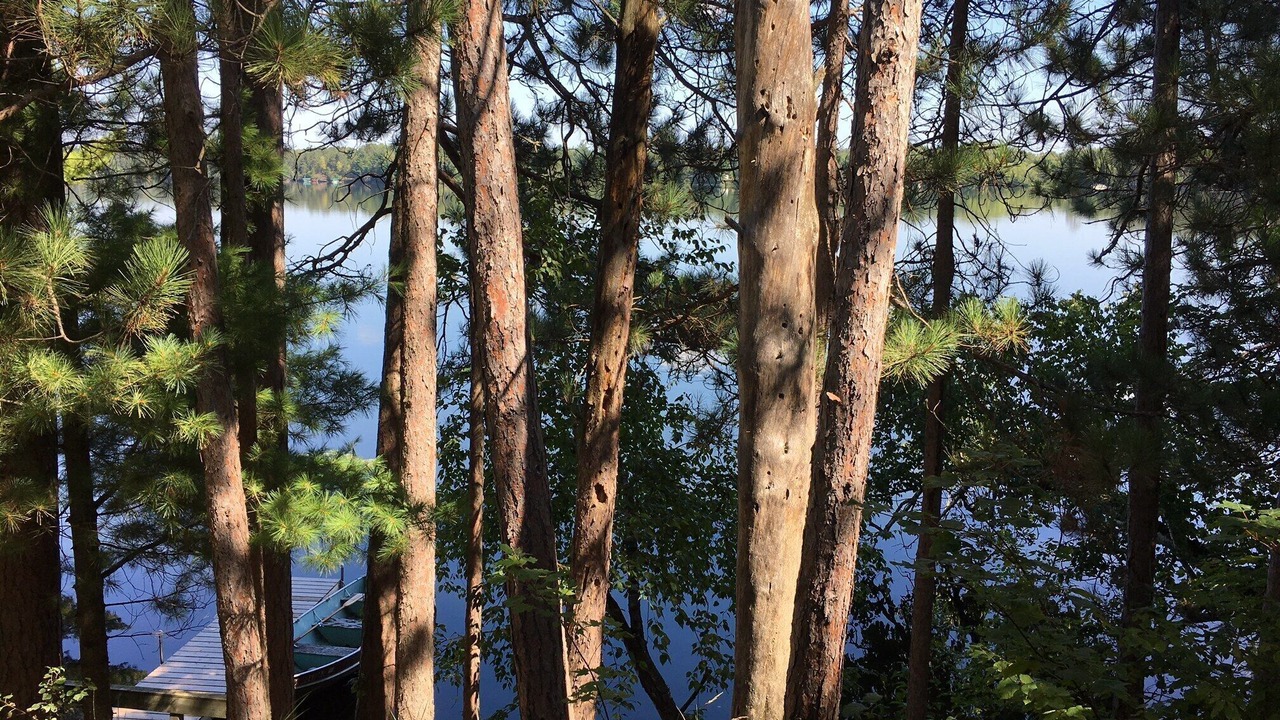 Photo of Others in Pequot Lakes