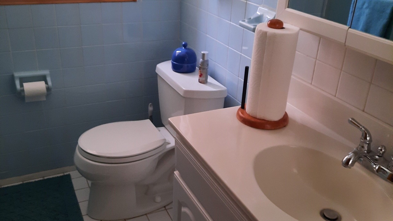 Photo of Bathroom in Red Rock