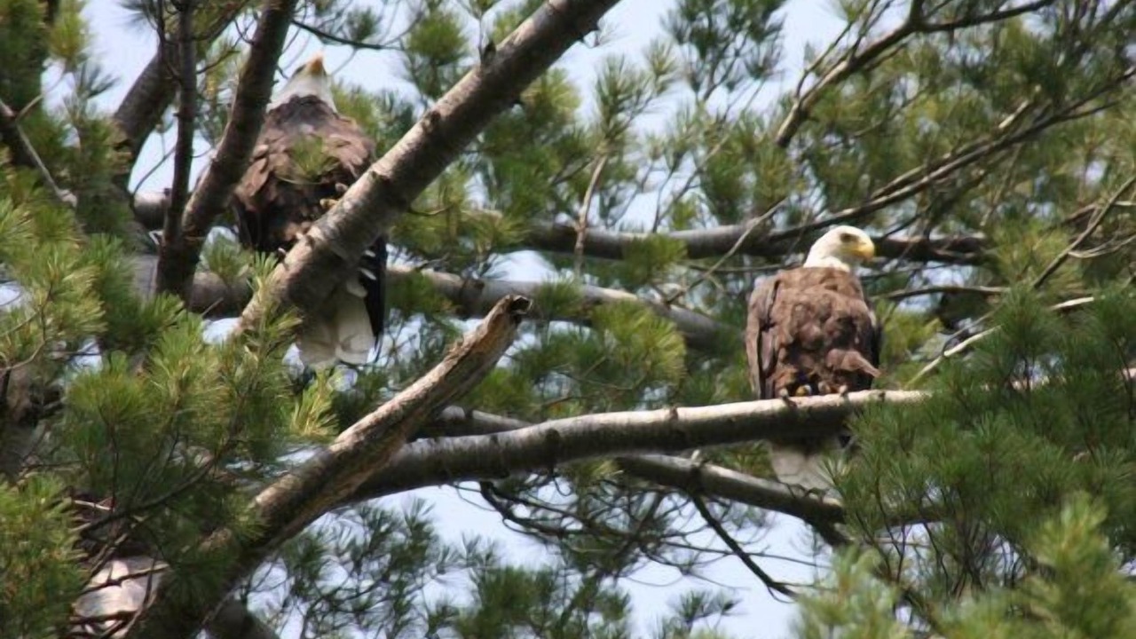 Photo of Others in Bay Lake