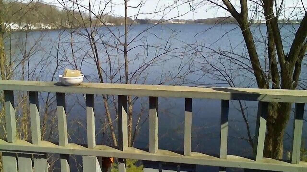 Photo of Others in Elk Lake