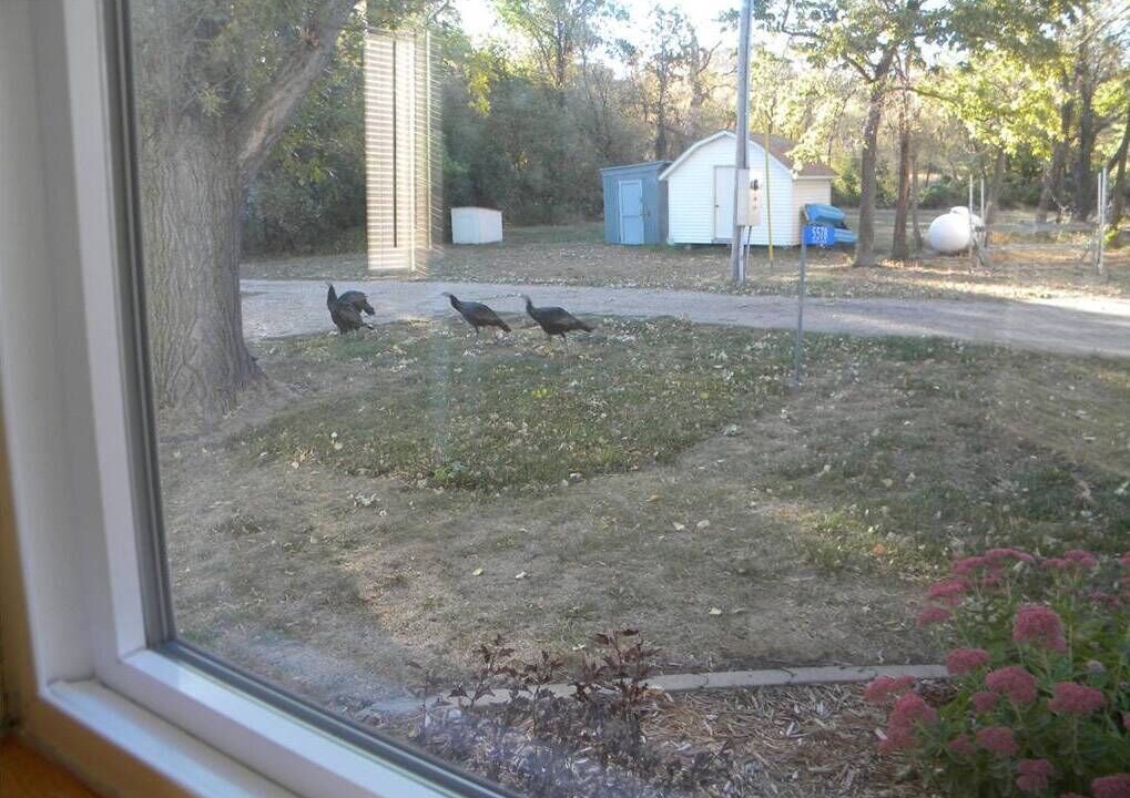 Photo of Others in Windsor