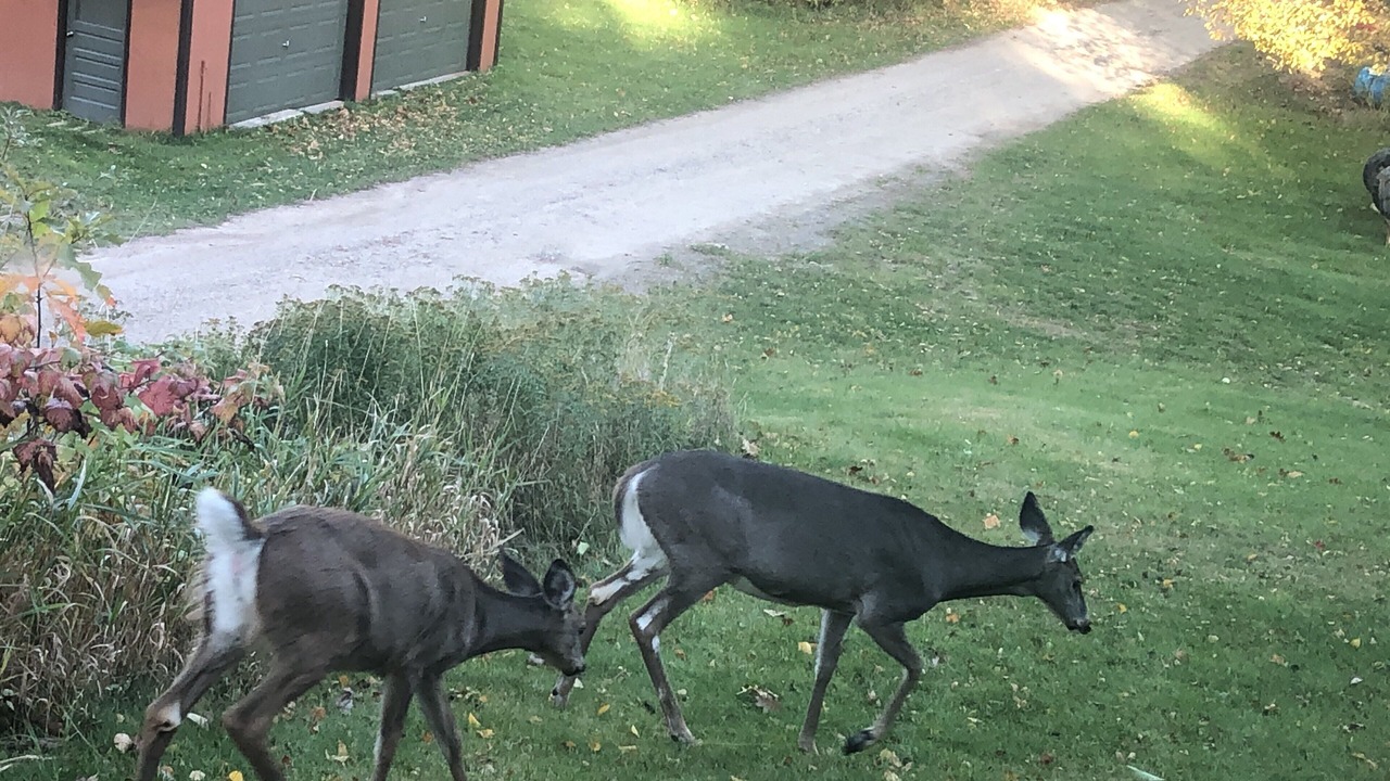 Photo of Outdoor in Grand Rapids
