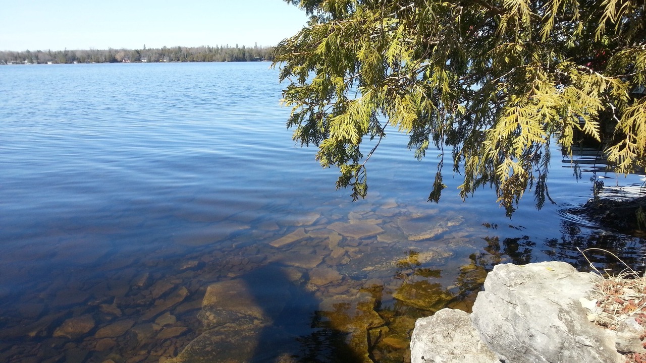 Photo of Others in Dunsford