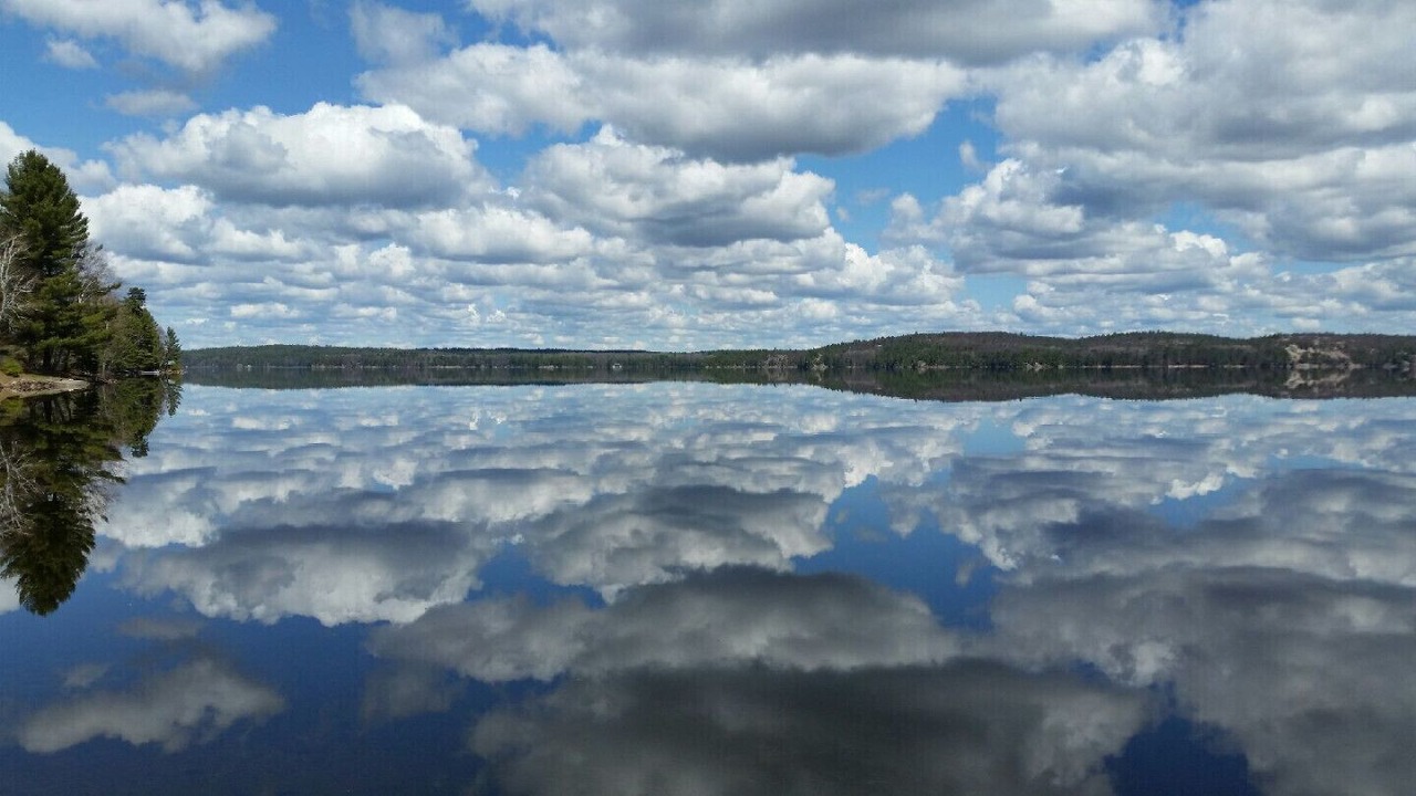 Photo of Others in Addington Highlands