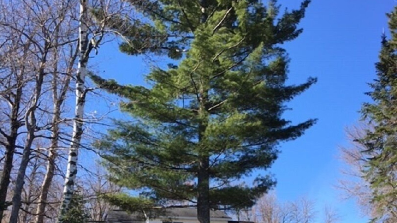 Photo of Outdoor in Aitkin