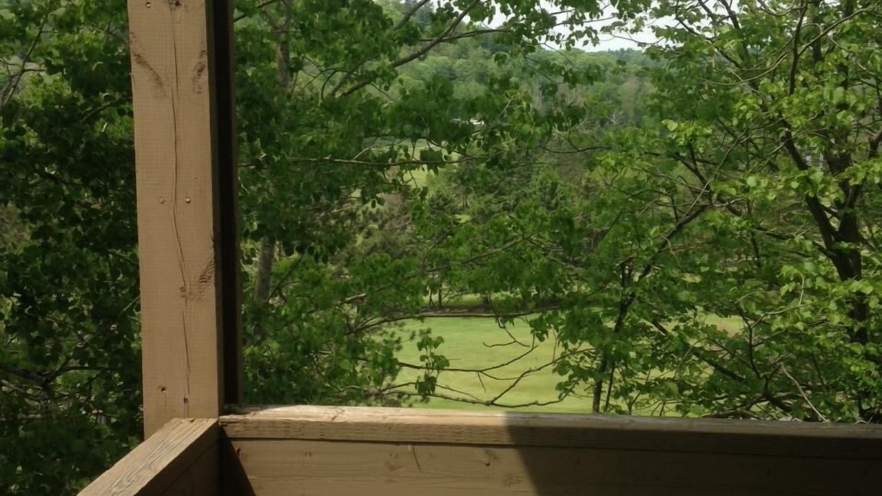 Photo of Outdoor in Huntsville