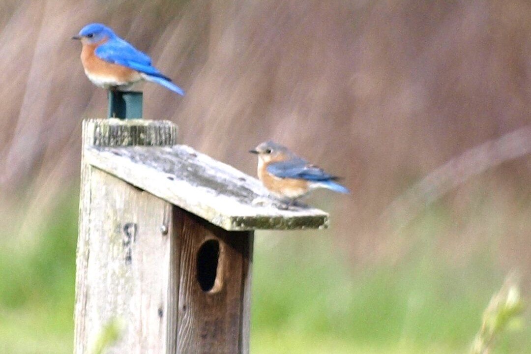 Photo of Others in Castleton