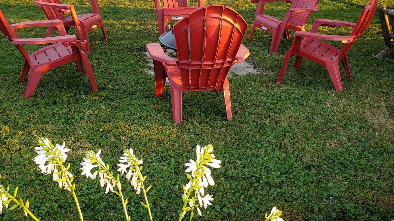 Photo of Outdoor in Pointe aux Roches