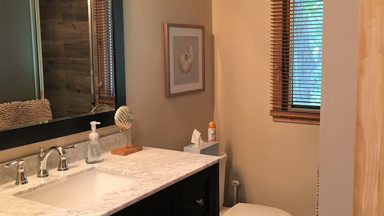 Photo of Bathroom in South Haven