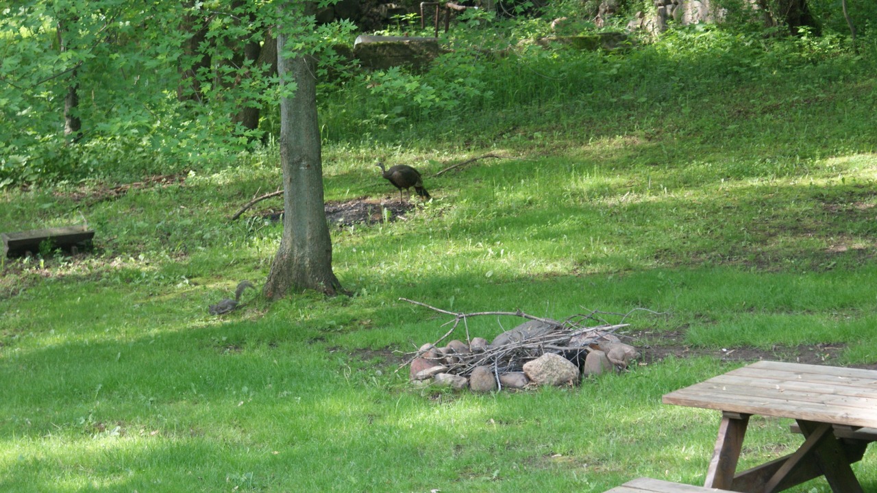 Photo of Others in Grant