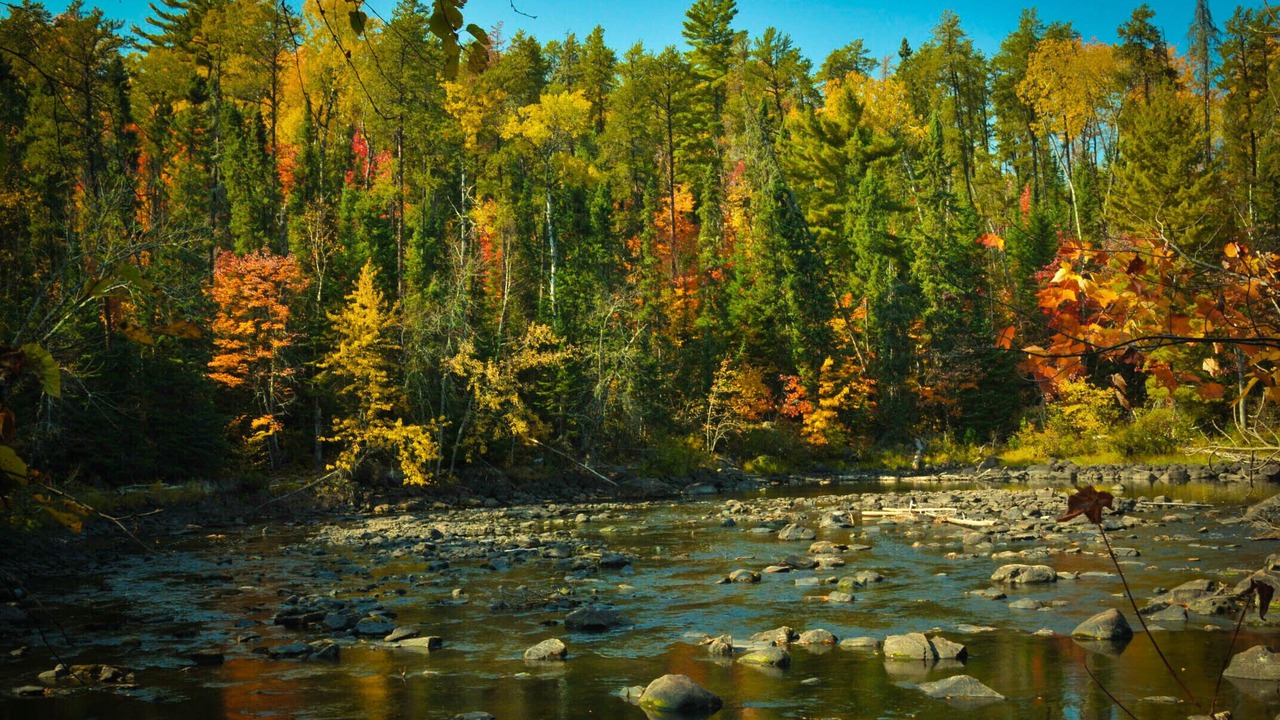 Photo of Others in Crane Lake