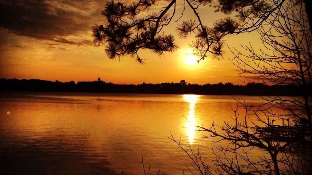 Photo of Others in Moose Lake