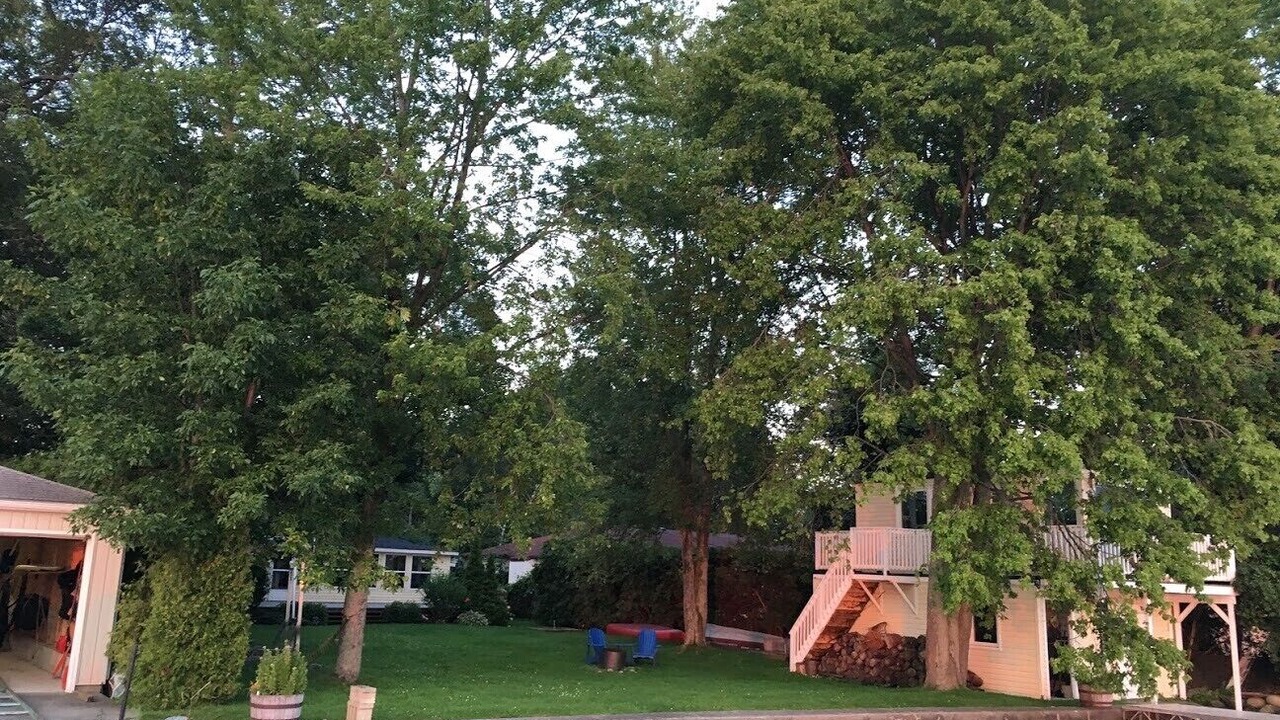 Photo of Outdoor in Virginia
