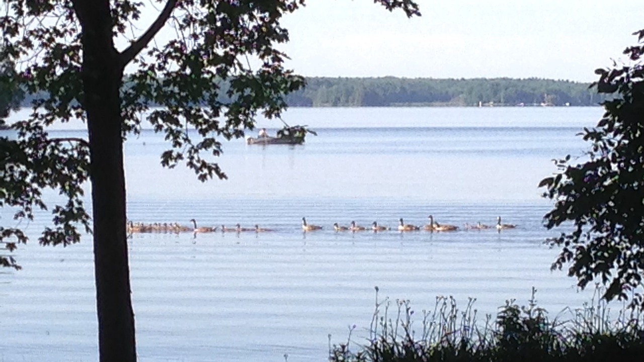 Photo of Others in Marmora