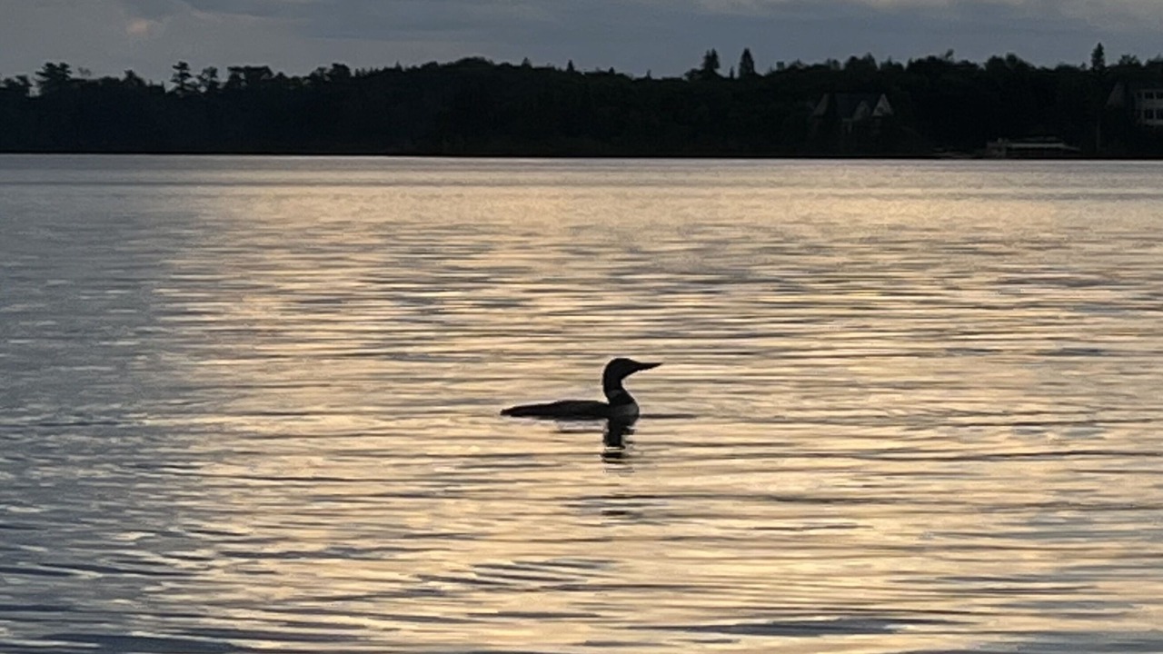Photo of Others in Kenora