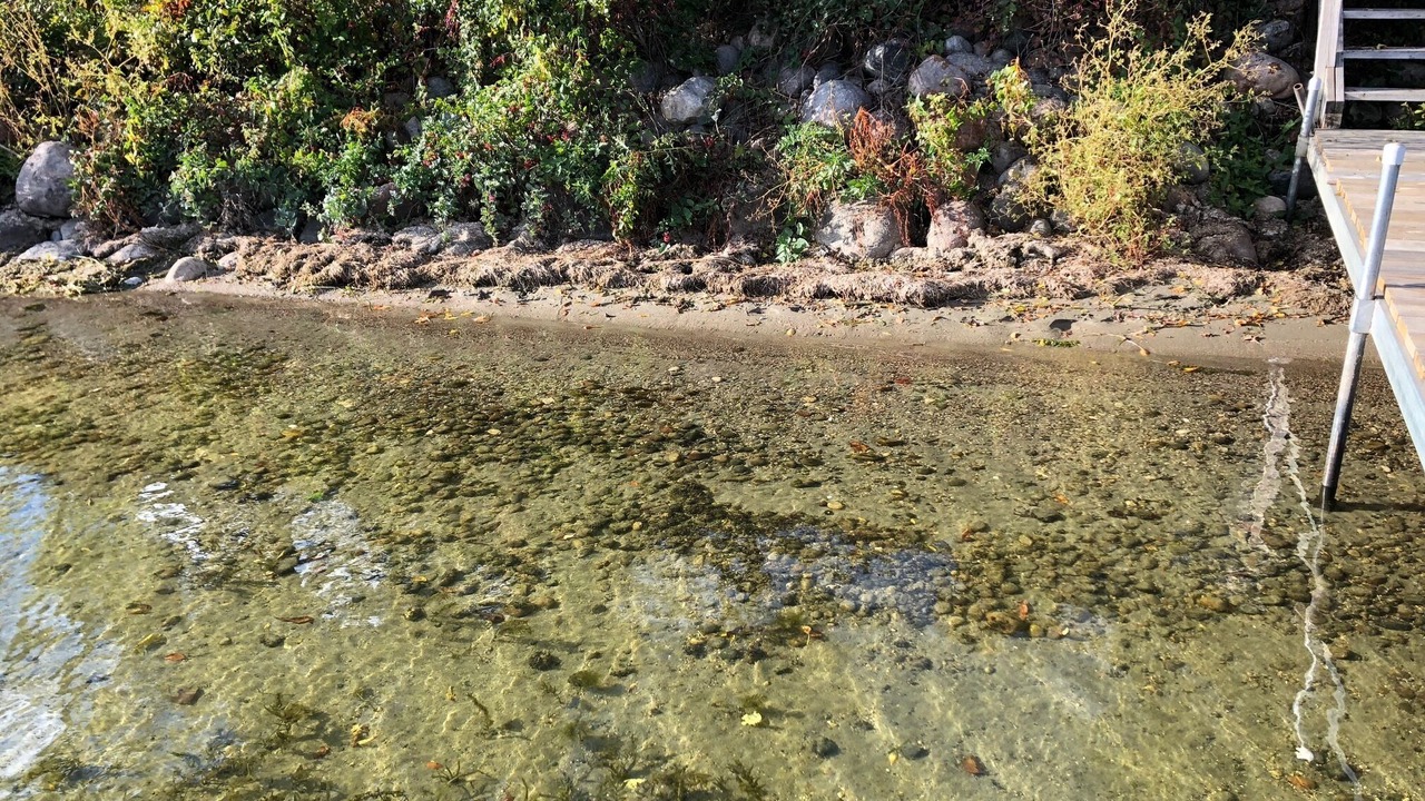 Photo of Outdoor in Detroit Lakes