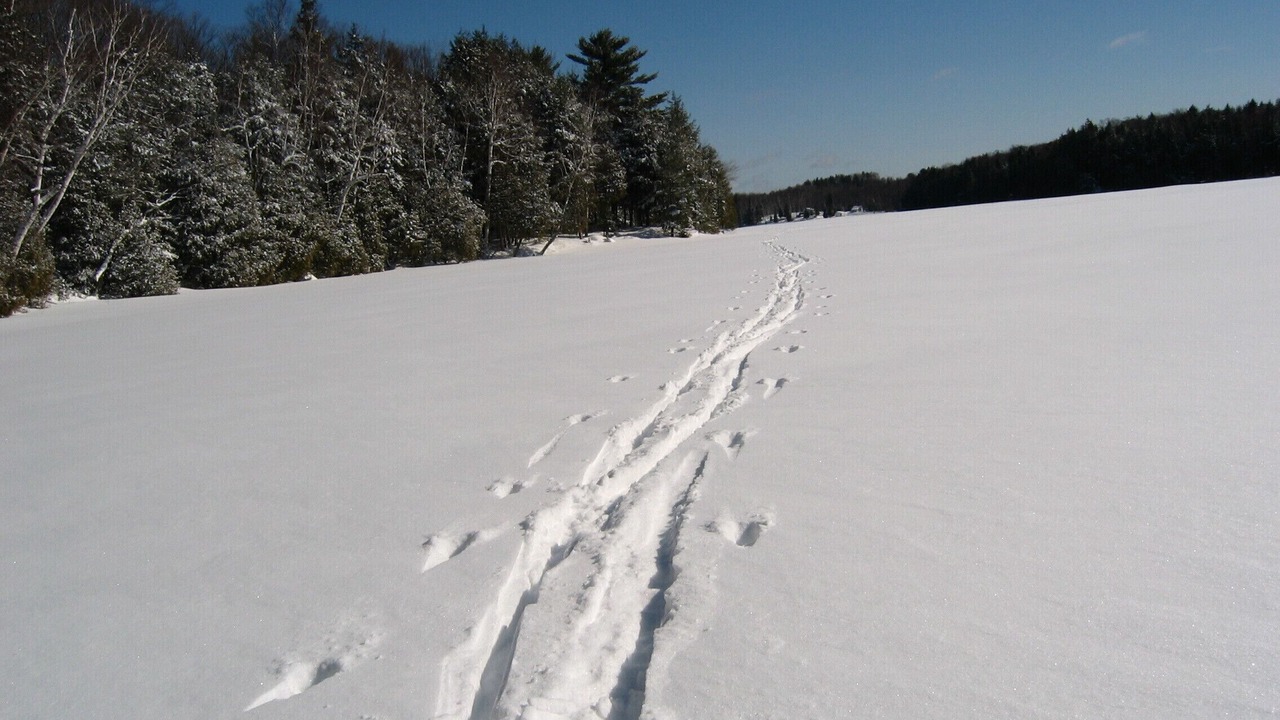 Photo of Outdoor in Highlands East